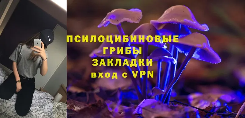 Псилоцибиновые грибы Magic Shrooms  Приволжск 